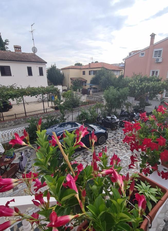 Apartments Tereza Novigrad Istria Exterior foto