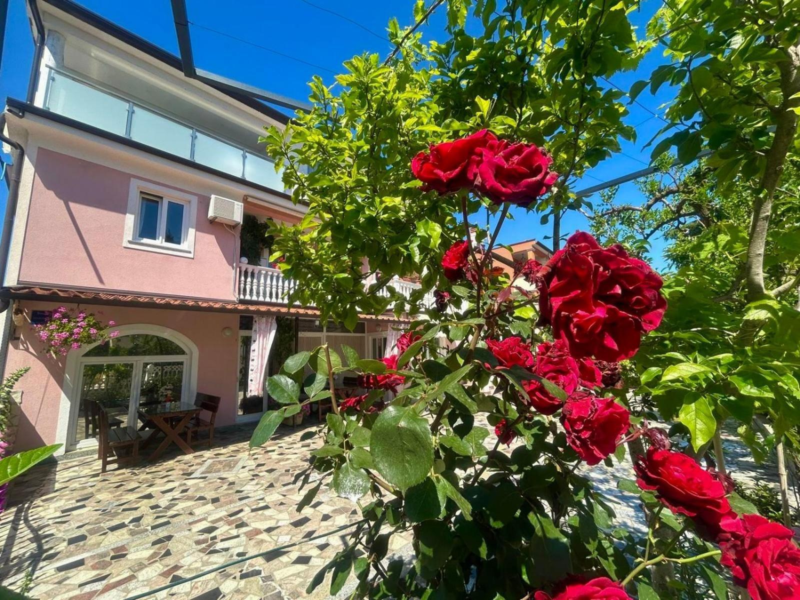 Apartments Tereza Novigrad Istria Exterior foto